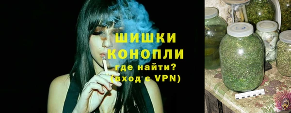 крисы Баксан