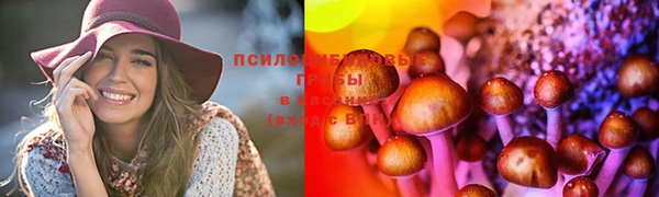 крисы Баксан