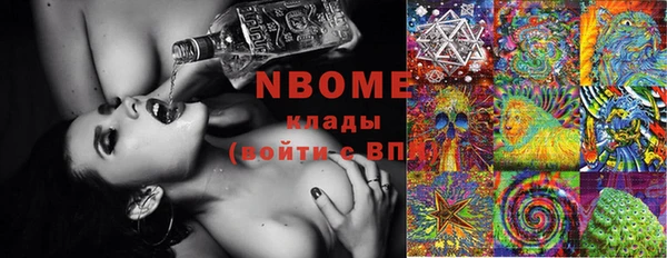 крисы Баксан
