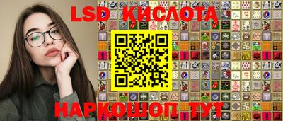мет Можга