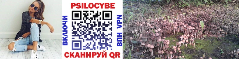 где купить   Усть-Джегута  kraken маркетплейс  Псилоцибиновые грибы мицелий 