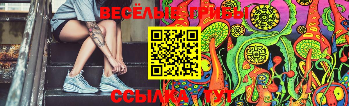 Усть-Джегута  Галлюциногенные грибы Magic Shrooms  Вход с VPN  Галлюциногенные грибы MAGIC MUSHROOMS 