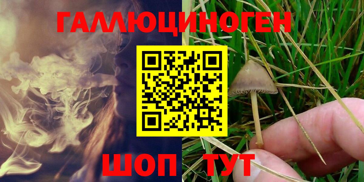 Галлюциногенные грибы Magic Shrooms Усть-Джегута